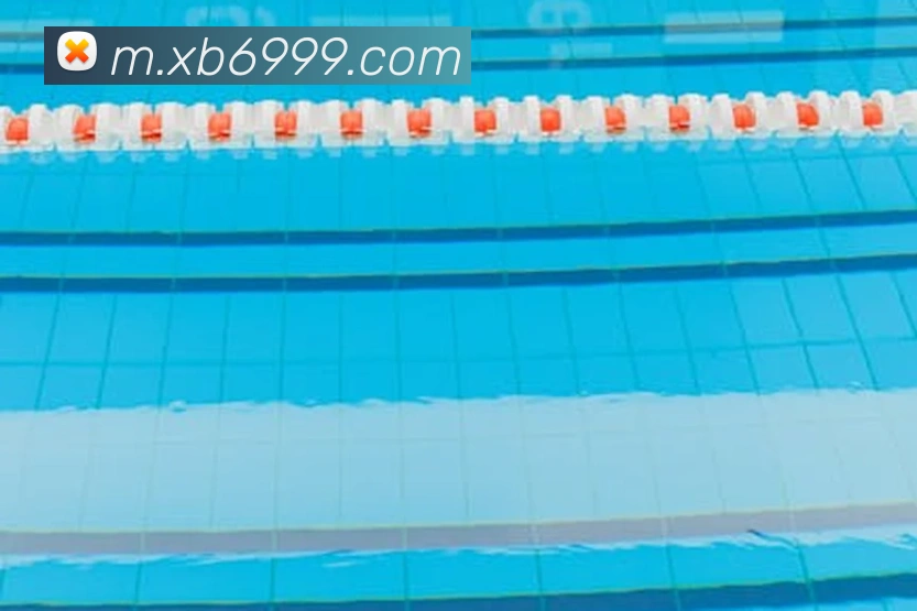 奖项证书